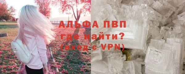 apvp Алзамай