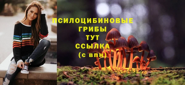 apvp Алзамай