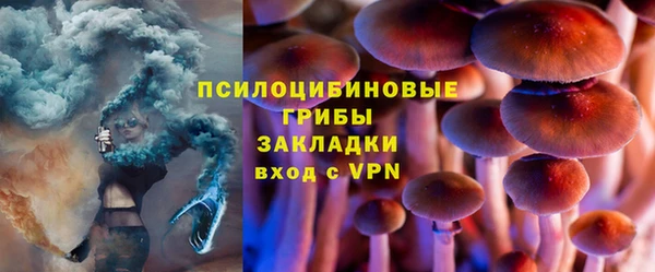 apvp Алзамай